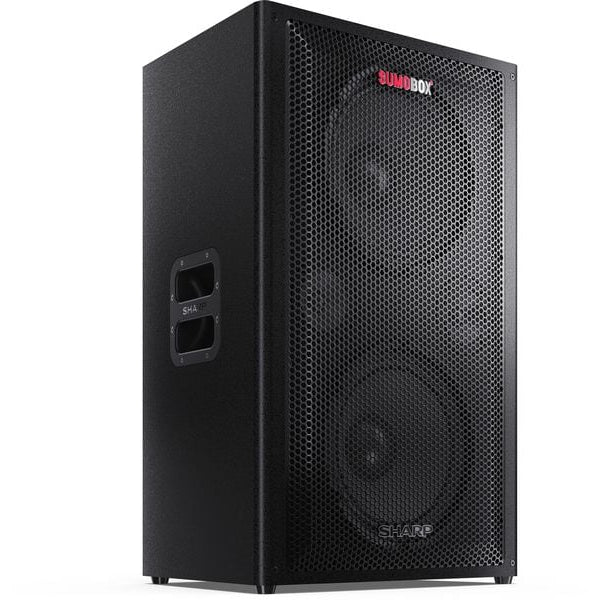 Sharp Bluetooth Speaker CPLS200 8h Akku