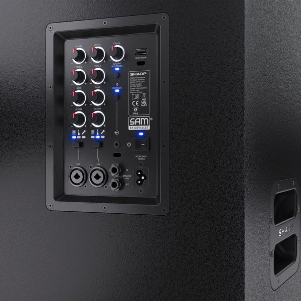 Sharp Bluetooth Speaker CPLS200 8h Akku