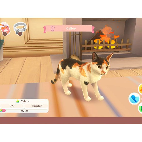 Nacon Cat Rescue Story