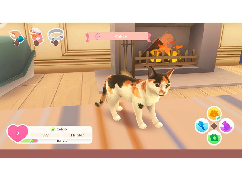 Nacon Cat Rescue Story