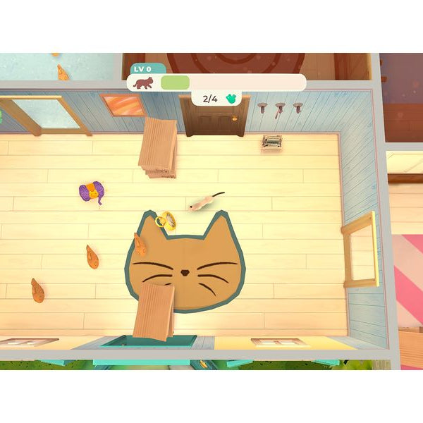 Nacon Cat Rescue Story