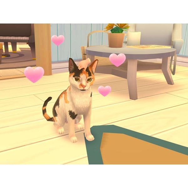 Nacon Cat Rescue Story