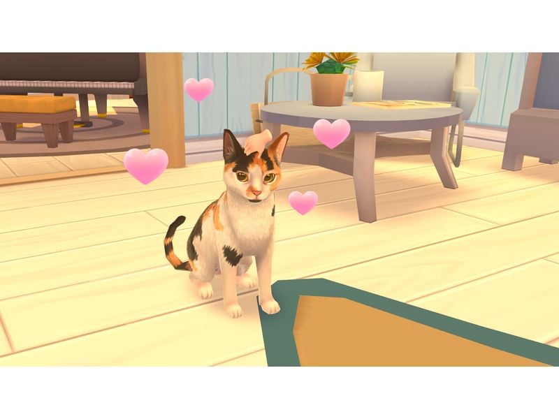 Nacon Cat Rescue Story