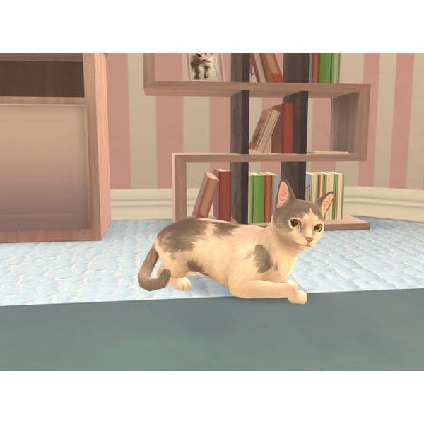 Nacon Cat Rescue Story