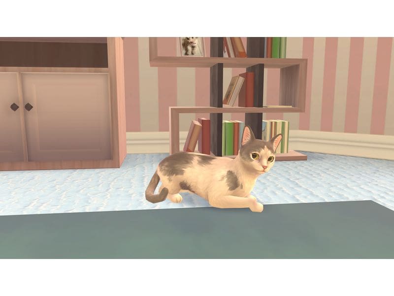 Nacon Cat Rescue Story