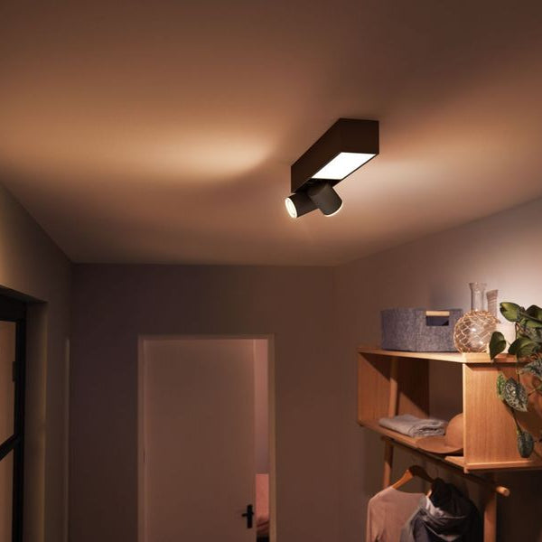 Philips Hue White & Color Ambiance Centris 2-Deckenspot Schwarz