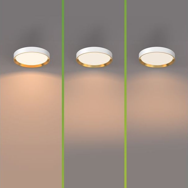 Philips Deckenleuchte Hanno SceneSwitch 2700K, 2700 Lm, Weiss-Gold