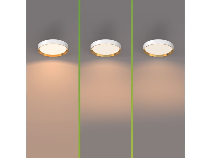 Philips Deckenleuchte Hanno SceneSwitch 2700K, 2700 Lm, Weiss-Gold