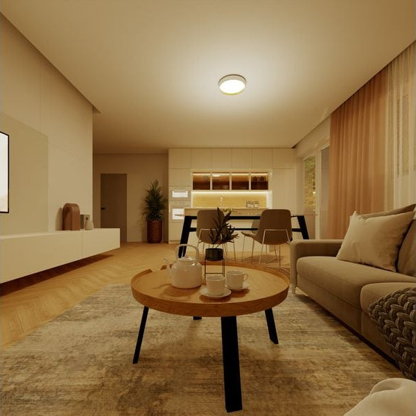 Philips Deckenleuchte Hanno SceneSwitch 2700K, 2700 Lm, Weiss-Gold