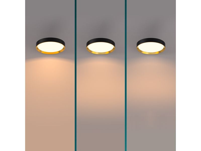 Philips Deckenleuchte Hanno SceneSwitch 2700K, 2700 Lm, Schwarz-Gold