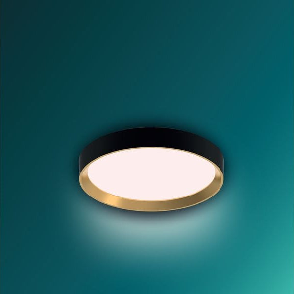 Philips Deckenleuchte Hanno SceneSwitch 2700K, 2700 Lm, Schwarz-Gold