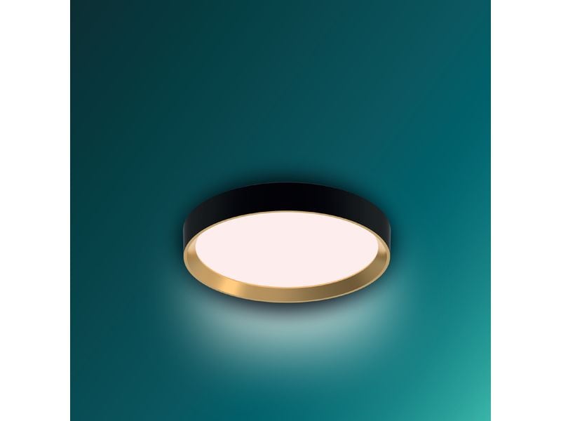 Philips Deckenleuchte Hanno SceneSwitch 2700K, 2700 Lm, Schwarz-Gold