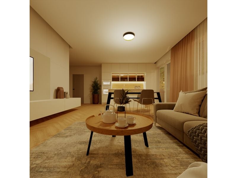 Philips Deckenleuchte Hanno SceneSwitch 2700K, 2700 Lm, Schwarz-Gold