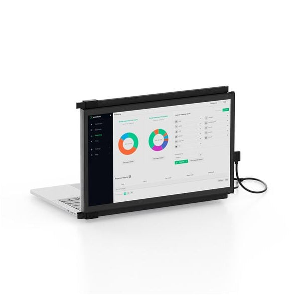 Mobile Pixels Monitor Duex Plus DS