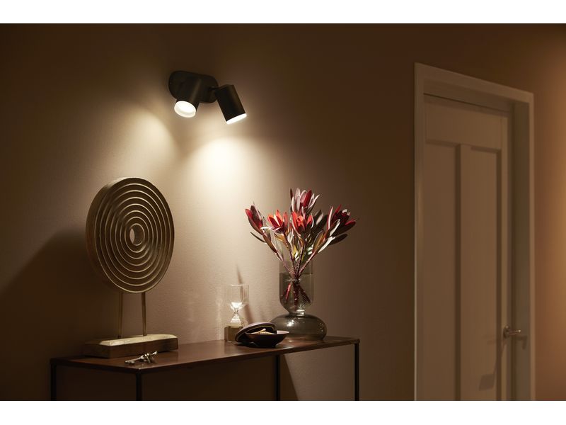 Philips Hue White & Color Ambiance Fugato 2er-Spot Schwarz