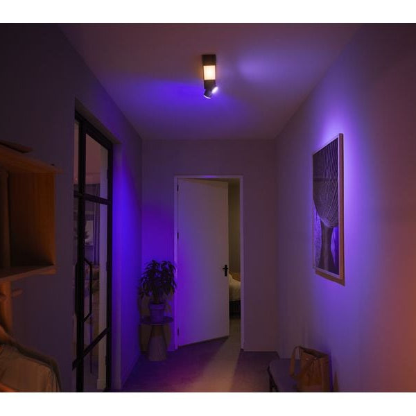 Philips Hue White & Color Ambiance Centris 2-Deckenspot Schwarz