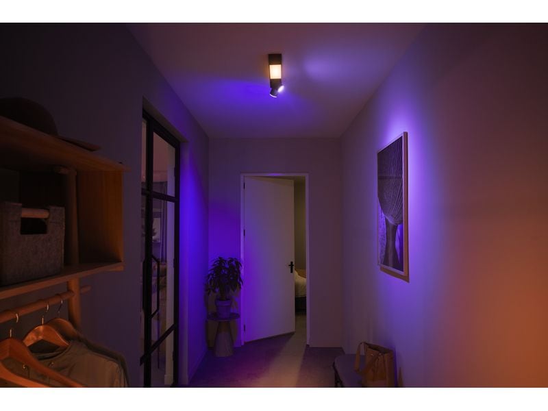 Philips Hue White & Color Ambiance Centris 2-Deckenspot Schwarz