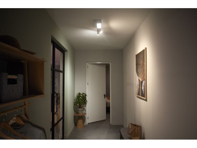 Philips Hue White & Color Ambiance Centris 2-Deckenspot Weiss