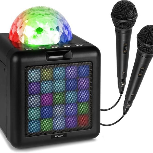 Fenton Lautsprecher KAR15B mit 2 Mikrofonen