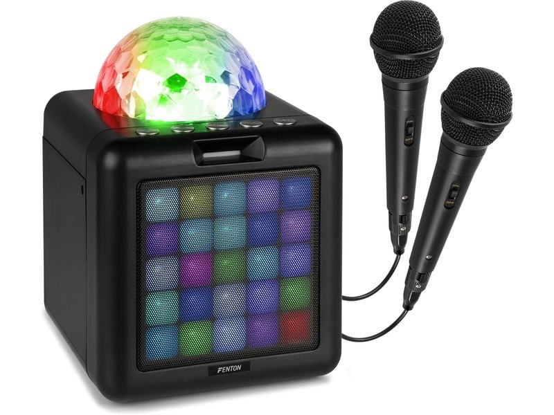 Fenton Lautsprecher KAR15B mit 2 Mikrofonen