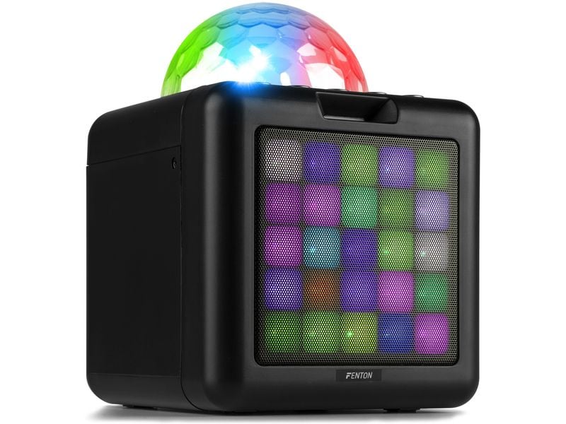 Fenton Lautsprecher KAR15B mit 2 Mikrofonen