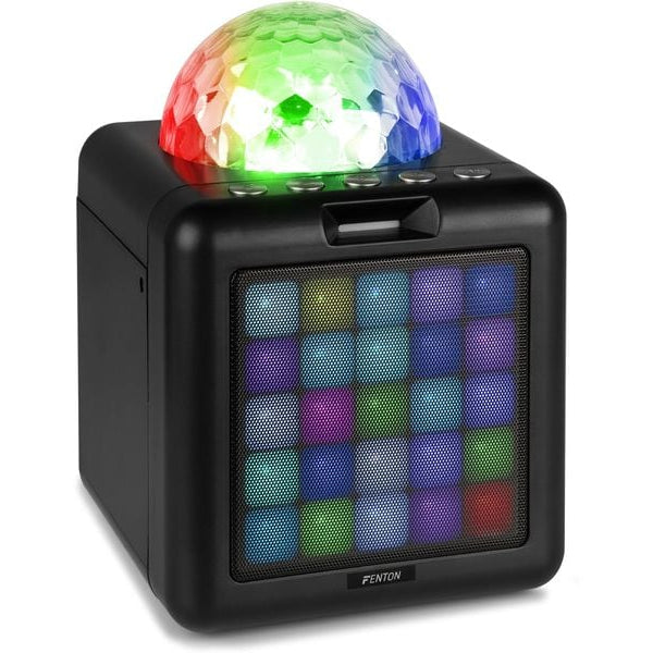 Fenton Lautsprecher KAR15B mit 2 Mikrofonen