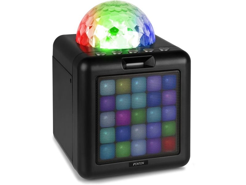 Fenton Lautsprecher KAR15B mit 2 Mikrofonen