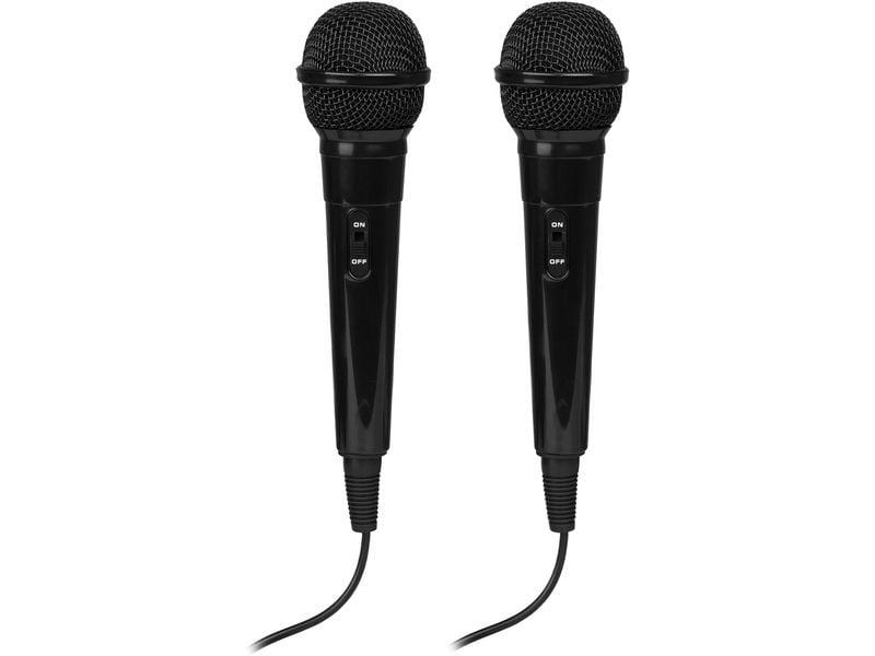 Fenton Lautsprecher KAR15B mit 2 Mikrofonen