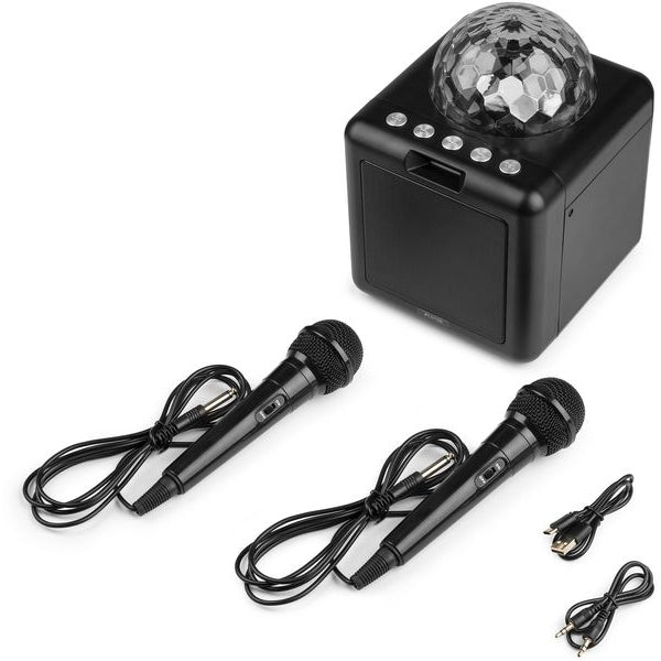 Fenton Lautsprecher KAR15B mit 2 Mikrofonen