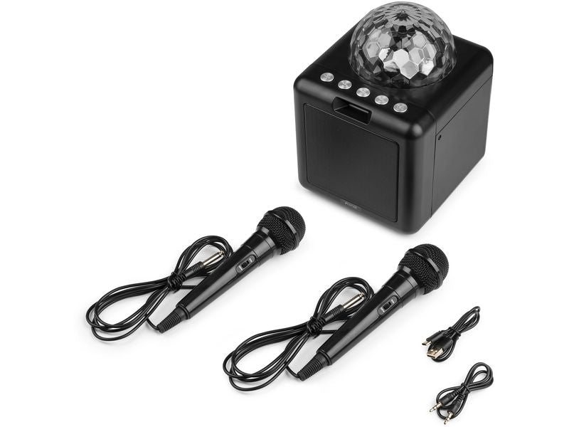 Fenton Lautsprecher KAR15B mit 2 Mikrofonen