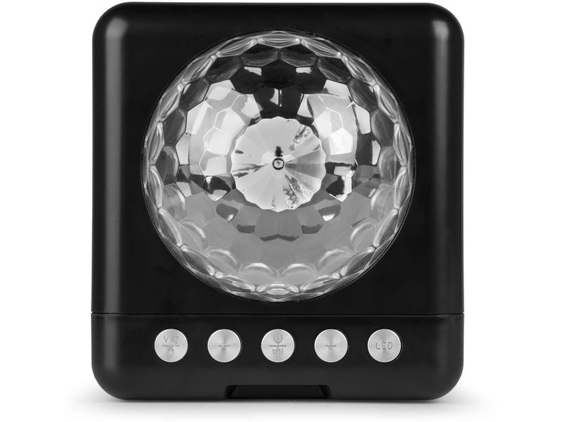 Fenton Lautsprecher KAR15B mit 2 Mikrofonen