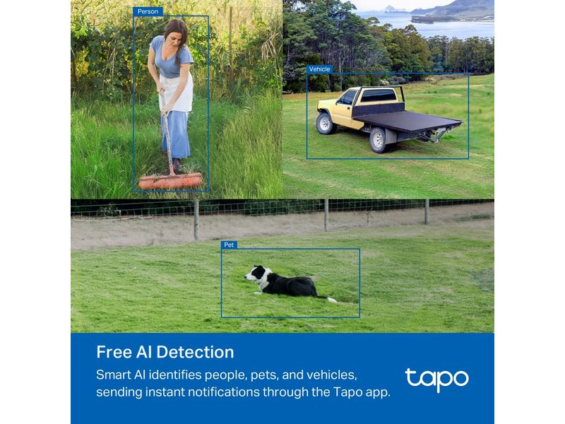 TP-Link Netzwerkkamera Tapo C501GW