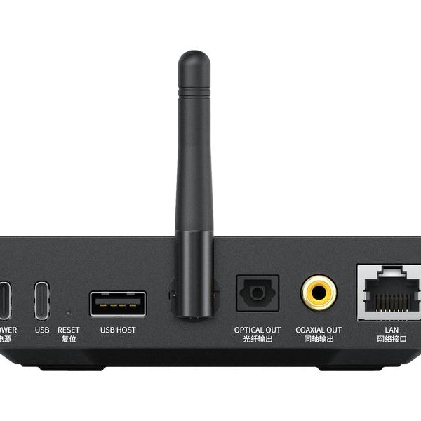 FiiO Netzwerk-Musik-System SR11 Schwarz