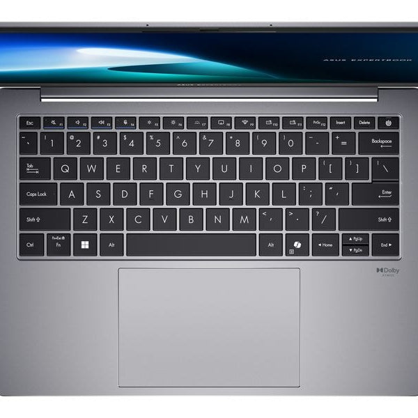 ASUS ExpertBook P5 (P5405CSA-NZ0327X)