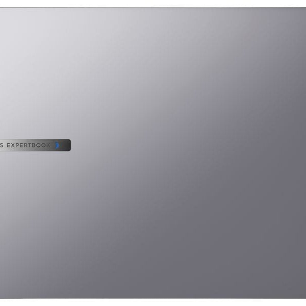 ASUS ExpertBook P5 (P5405CSA-NZ0326X)