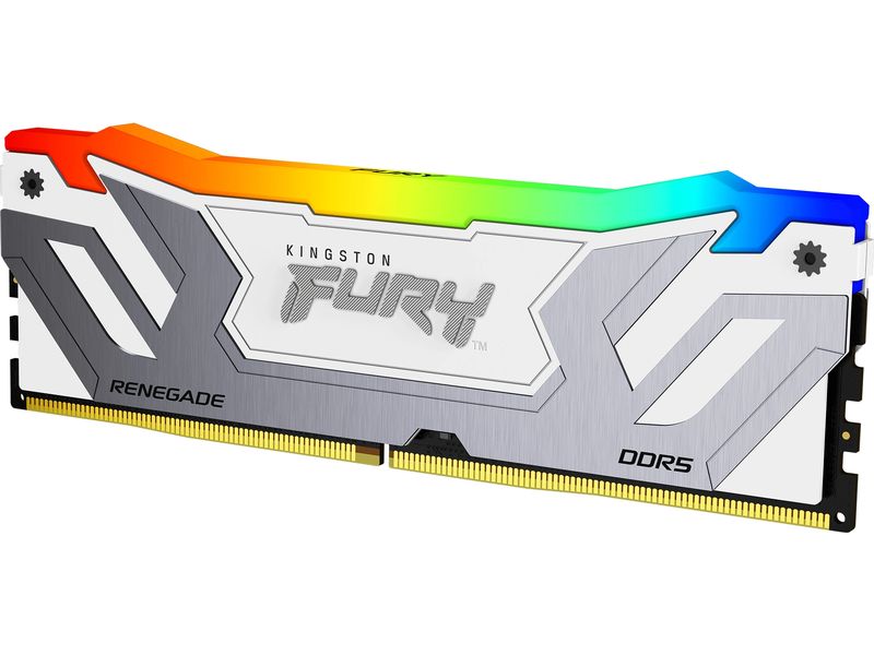 Kingston DDR5-RAM FURY Renegade RGB 4400 MHz 2x 24 GB