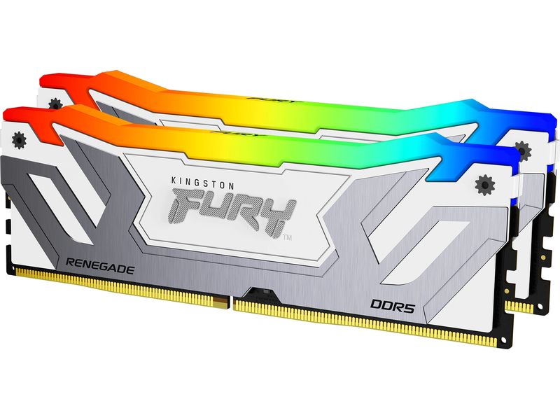 Kingston DDR5-RAM FURY Renegade RGB 4400 MHz 2x 24 GB