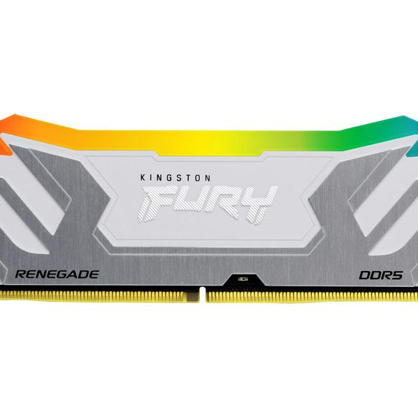 Kingston DDR5-RAM FURY Renegade RGB 4400 MHz 2x 24 GB