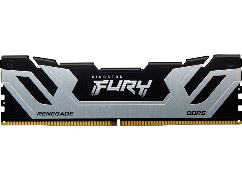 Kingston DDR5-RAM FURY Renegade 8800 MHz 2x 24 GB