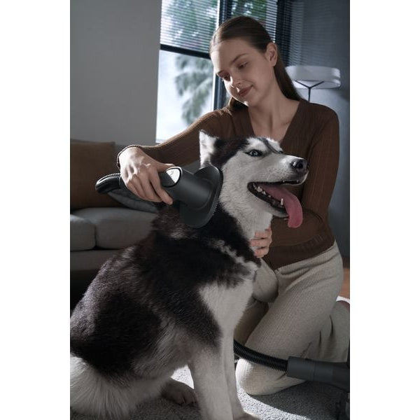 Xiaomi Akku-Hand- und Stielsauger G20 Max Grau