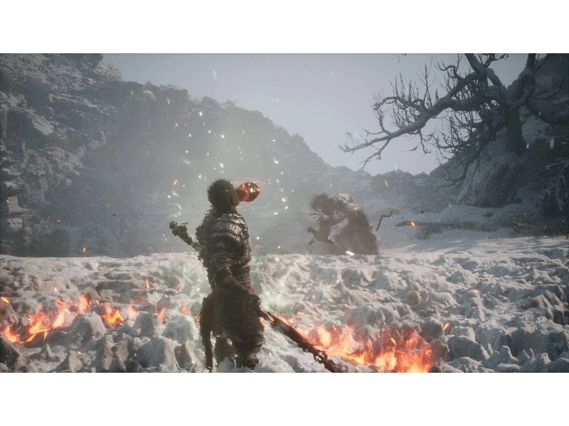 GAME Black Myth: Wukong