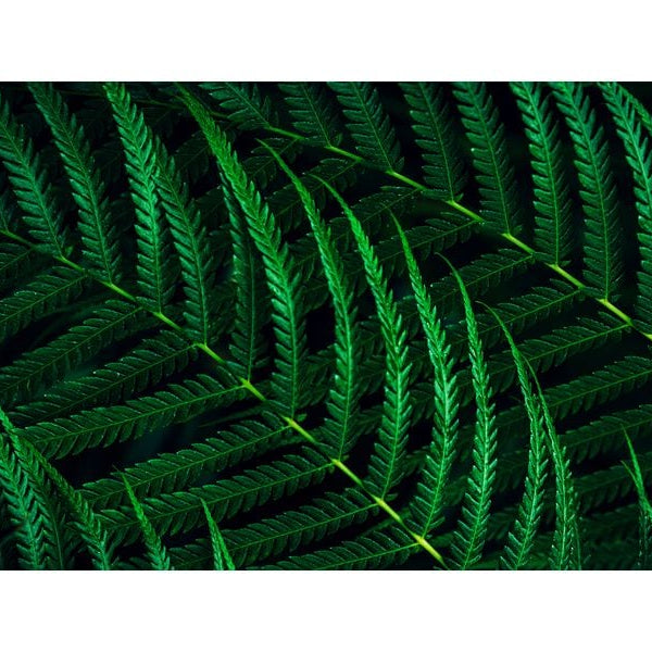 Philips Monitor 27B2G5601/00