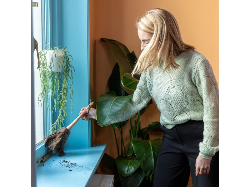 Esschert Design Staubwedel Nature