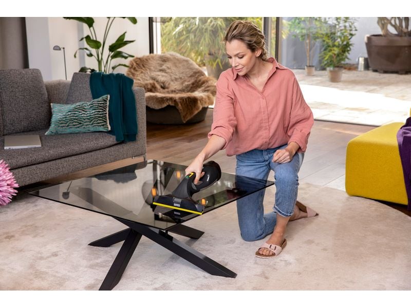 Kärcher Fenstersauger WV 5 Plus Anniversary Edition Schwarz