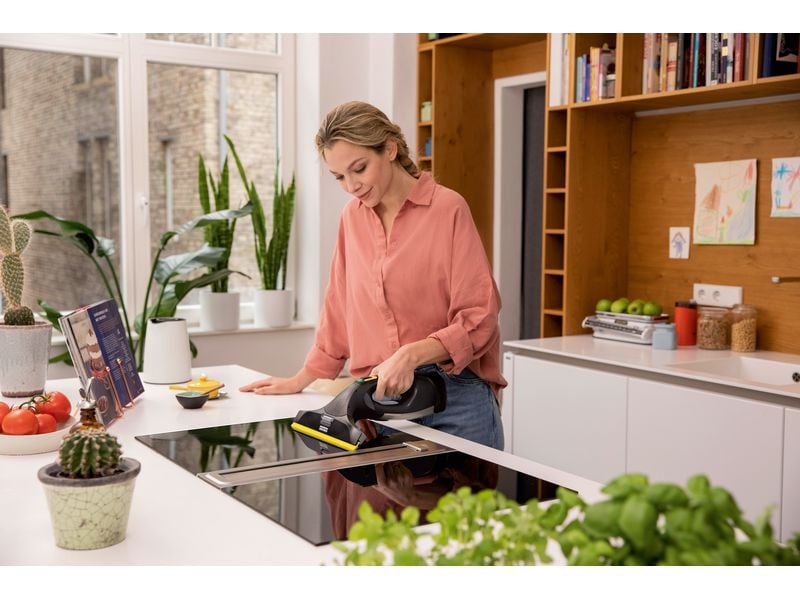 Kärcher Fenstersauger WV 5 Plus Anniversary Edition Schwarz