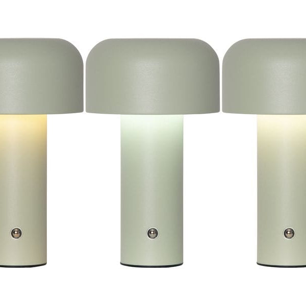 Star Trading Bobby Warmweiss-Kaltweiss,Grün