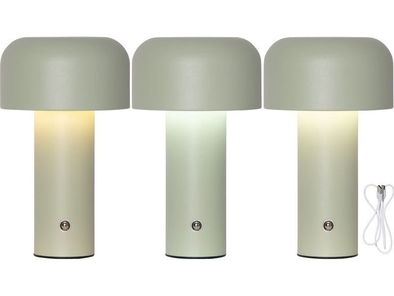 Star Trading Bobby Warmweiss-Kaltweiss,Grün