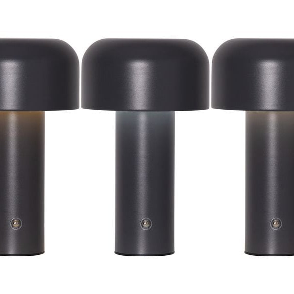 Star Trading Bobby Warmweiss-Kaltweiss,Grey