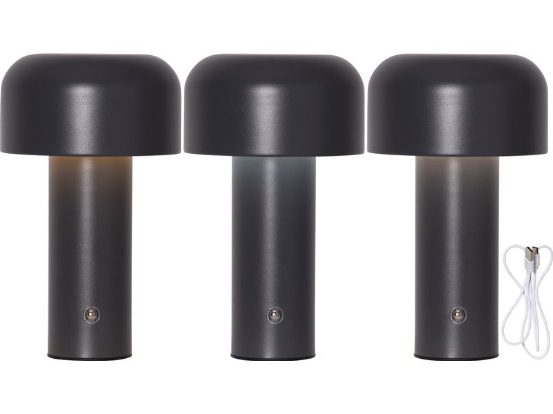 Star Trading Bobby Warmweiss-Kaltweiss,Grey