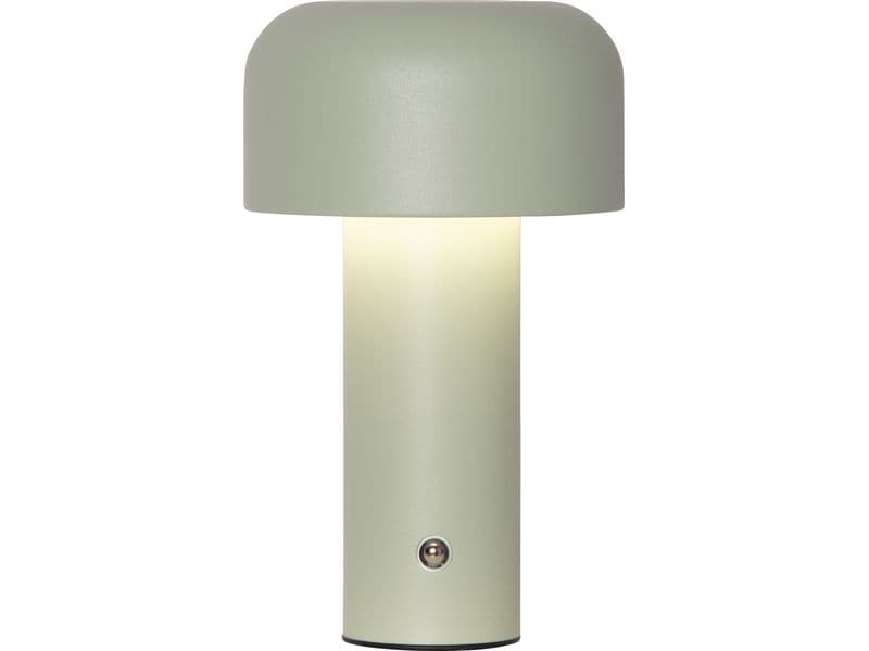 Star Trading Bobby Warmweiss-Kaltweiss,Grün